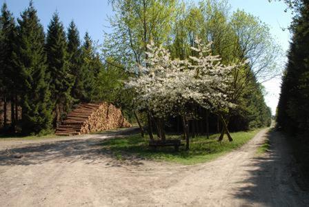 Pension Haus Talblick Winterberg Dış mekan fotoğraf
